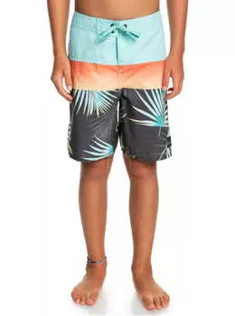 Детские Бордшорты Everyday Panel 17"