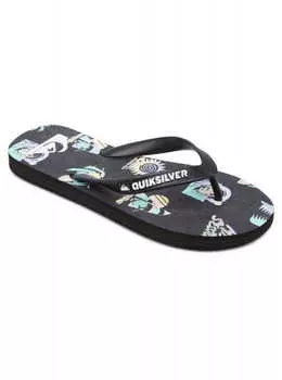 Детские Сланцы Quiksilver Molokai Art