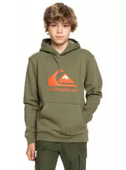 Детское Худи Quiksilver Big Logo Four Leaf Clover