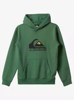 Детское худи Big Logo (8-16 лет)