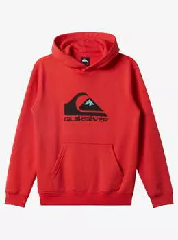 Детское худи Big Logo (8-16 лет)
