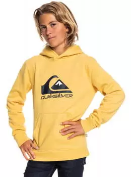 Детское Худи Quiksilver Big Logo