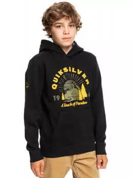 Детское Водостойкое Худи Quiksilver Big Logo Snow True Black