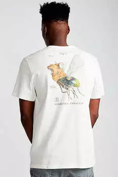 Футболка Element Domestica Ss 3907