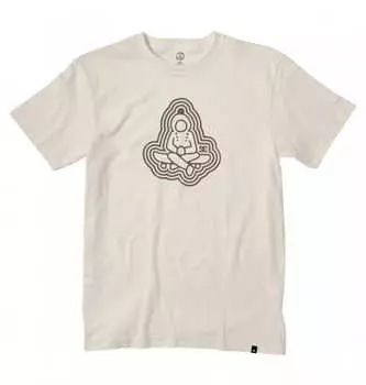 Футболка DC Medi Skater