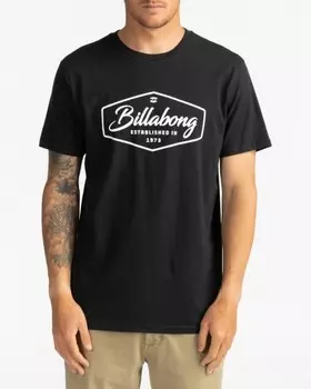 Мужская Футболка Billabong Trademark