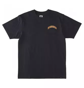 Мужская футболка Orientation