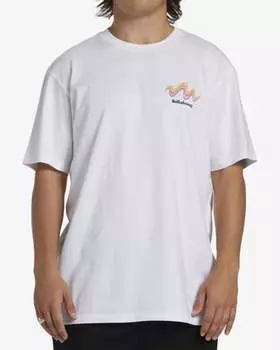 Мужская футболка Segment