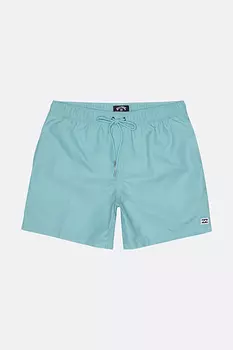 Мужские Бордшорты All Day Laybacks 16"