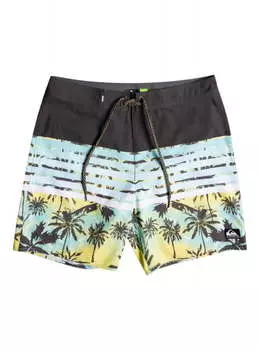 Мужские бордшорты Everyday Sion 18"