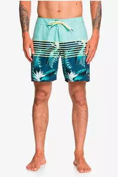 Мужские Бордшорты Quiksilver Everyday Lightning 17"
