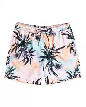 Мужские бордшорты Sundays Solar