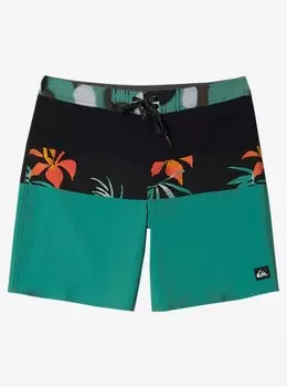 Мужские бордшорты Surfsilk Panel 18"