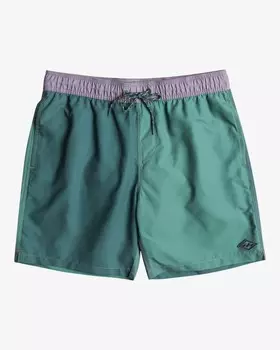 Мужские купальные шорты All Day Interchange Layback 17.5"