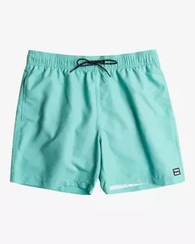 Мужские купальные шорты All Day Layback 16"