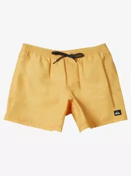 Мужские купальные шорты Everyday Deluxe Volley 15"