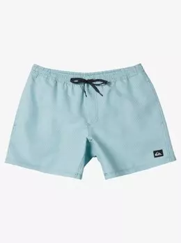 Мужские купальные шорты Everyday Deluxe Volley 15"