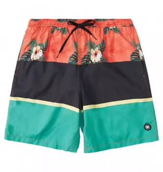 Мужские Плавательные Шорты DC Mega Rush 18"