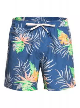 Плавательные Шорты Quiksilver Paradise Express 15"
