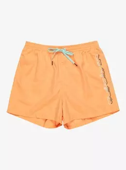 Мужские Пляжные шорты Behind Waves 15"