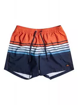 Мужские шорты для плавания Everyday Swell Vision 15"