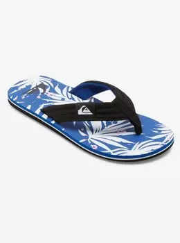Мужские сланцы Molokai Layback