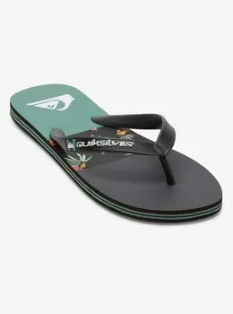 Мужские сланцы Molokai Stripe