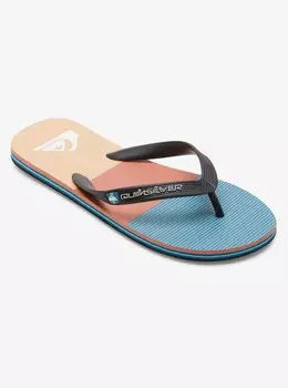 Мужские сланцы Molokai Stripe