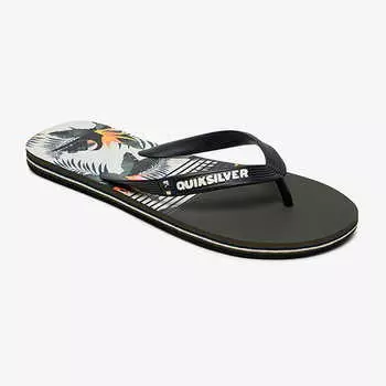 Мужские Сланцы Quiksilver Molokai Jungle Swell