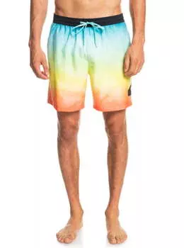 Плавательные Шорты Quiksilver Everyday Faded Logo 17" Tarmac