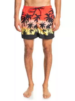 Плавательные Шорты Quiksilver Everyday Paradise 15"