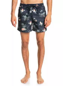 Плавательные Шорты Quiksilver Everyday Scenic 15" Black