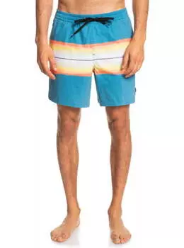 Плавательные Шорты Quiksilver Resin Tint 17" Seaport