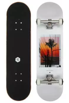 Скейтборд Thaibes 7,8