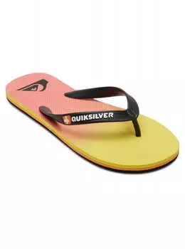 Сланцы Quiksilver Molokai