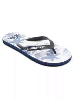 Сланцы Quiksilver Molokai Art