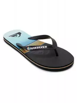 Сланцы Quiksilver Molokai Panel