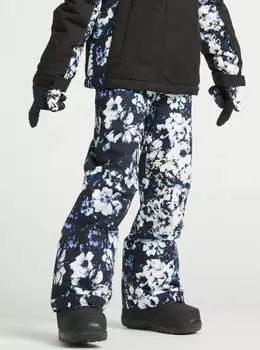 Сноубордические брюки ROXY Backyard
