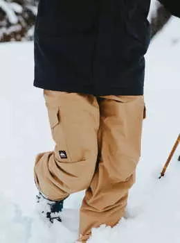 Сноубордические штаны QUIKSILVER Porter