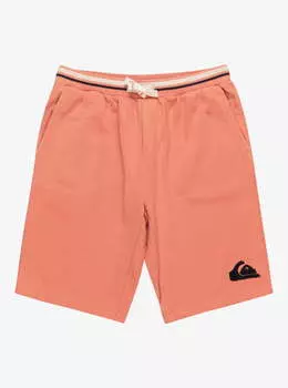 Спортивные мужские шорты Block Slim