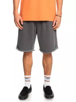 Спортивные Шорты Quiksilver Raw Edge