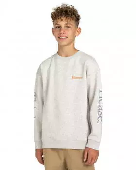 Свитшот SBXE PLEASE WCDH