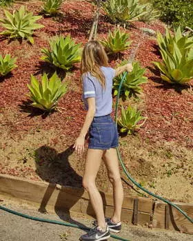 Женские Шорты RVCA Rowe