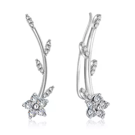 Клаймберы из серебра 94021770