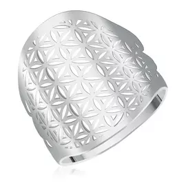 Кольцо из серебра 2015745/9