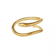 Кольцо из серебра MM-RYAG