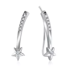 Серьги из серебра 94021848