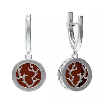 Серьги из серебра E10009RV