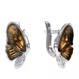 Серьги из серебра E9150RO