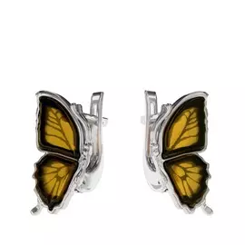 Серьги из серебра E9153RO